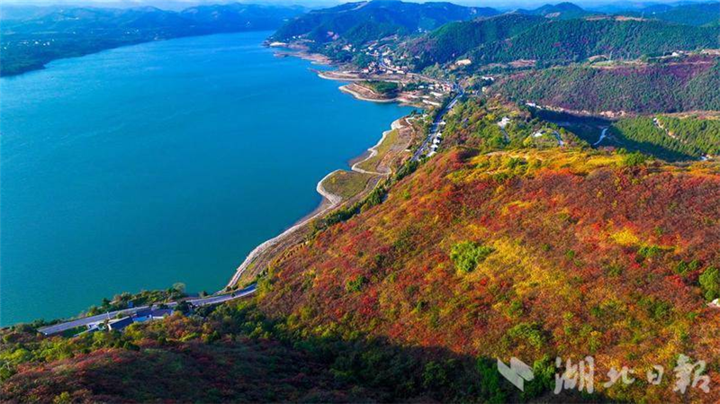 湖北十堰：南水北调水源区红叶映山村