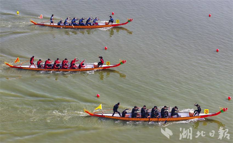 武汉：龙舟竞渡南湖畔