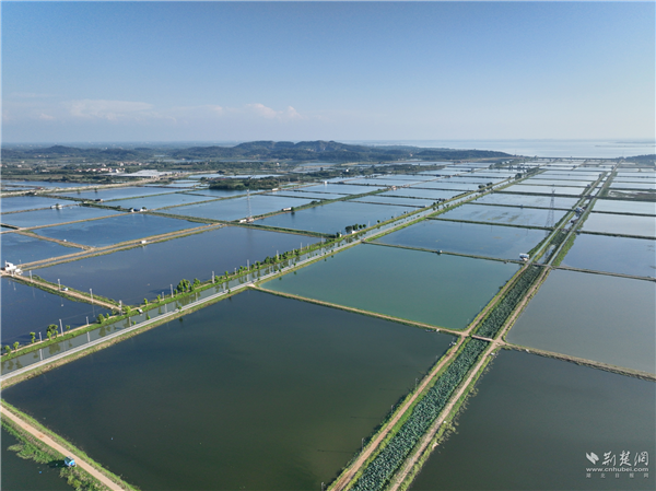 武汉：调研流域综合治理“江夏智慧” 共赏河湖碧水清波