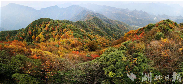 湖北7地为中国生物圈保护区网络成员_fororder_微信图片_20250225093546