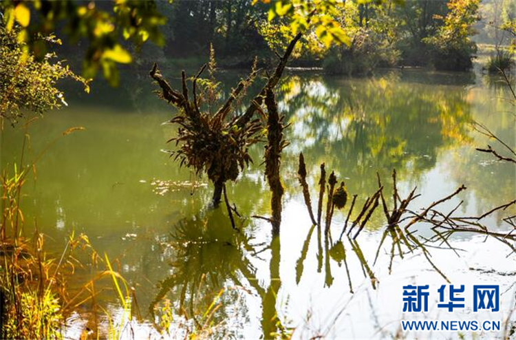 湖北鹤峰：秋天董家河 层林尽绘水墨卷