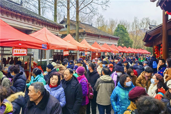 湖北谷城：年货节上品年趣