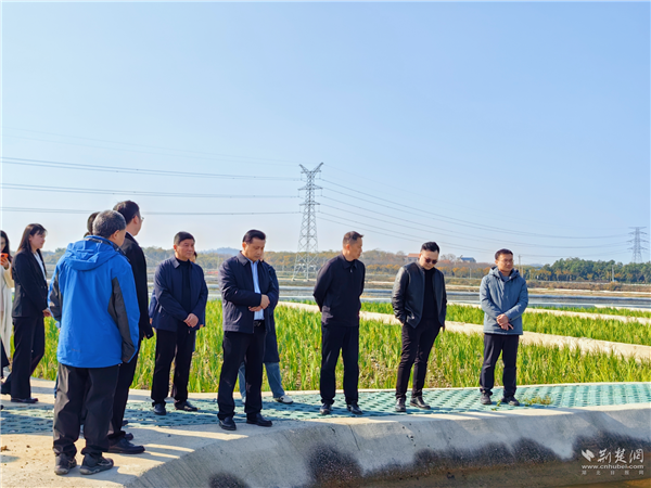 武汉：调研流域综合治理“江夏智慧” 共赏河湖碧水清波