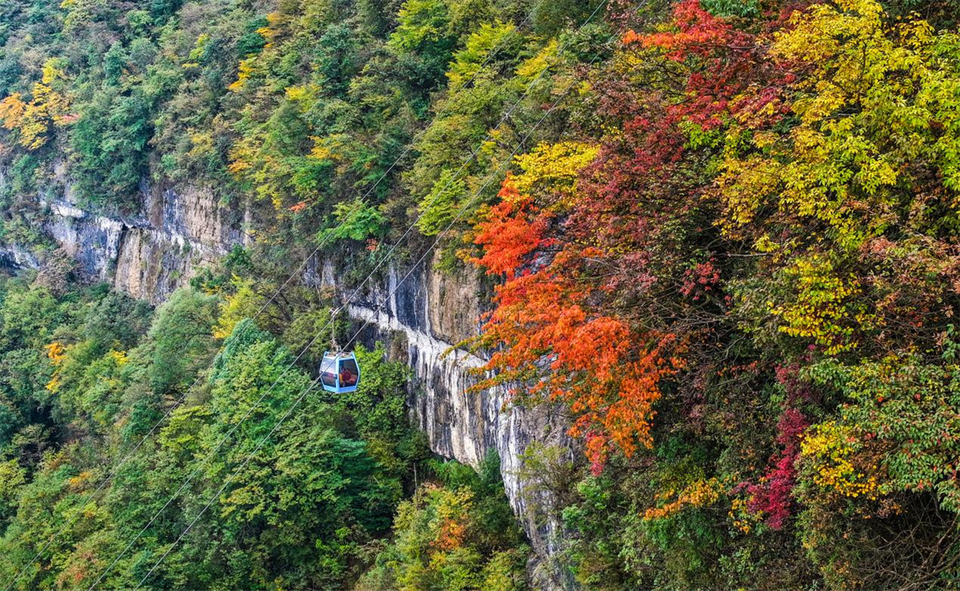 最美的秋丨重庆南川金佛山迎来“高光”时刻