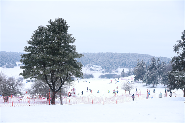 打卡重庆冰天雪地｜武隆仙女山：林海雪原成童话世界