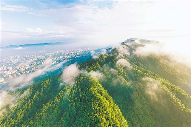 重庆市集体林权改革唤醒群山