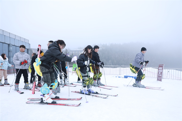 打卡重庆冰天雪地｜武隆仙女山：林海雪原成童话世界