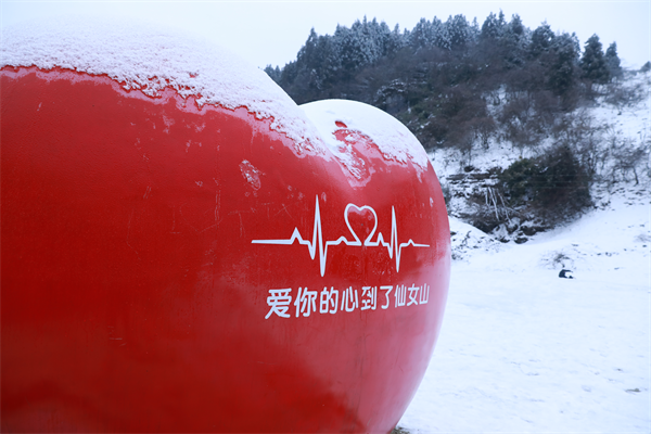 打卡重庆冰天雪地｜武隆仙女山：林海雪原成童话世界