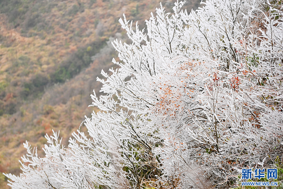 重庆酉阳：冬日山林雪韵浓