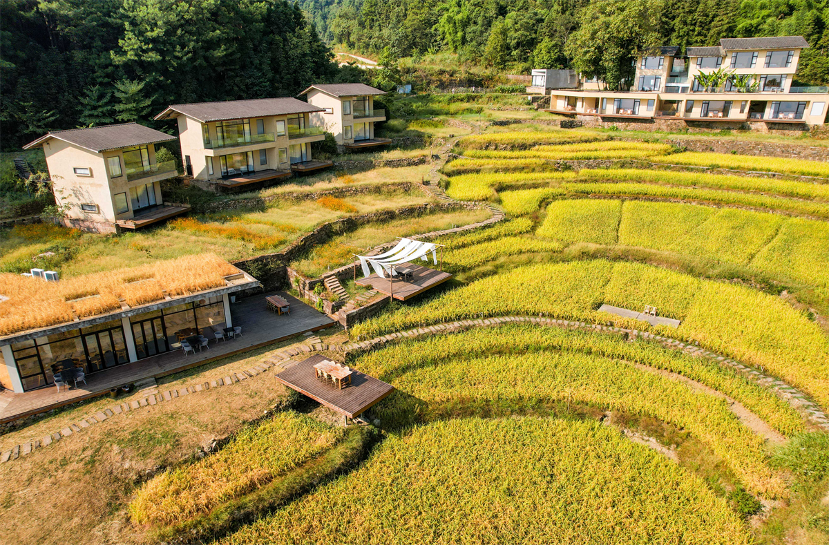 最美的秋丨重庆垫江：城乡山野织美景 且以诗意共远方