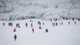 重庆仙女山雪景“返场” 持武隆旅游通行卡畅享限时福利