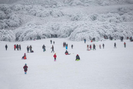 重庆仙女山雪景“返场” 持武隆旅游通行卡畅享限时福利