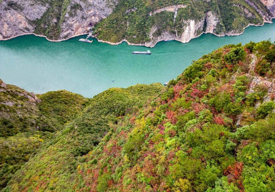 重庆：初冬红叶点缀巫峡