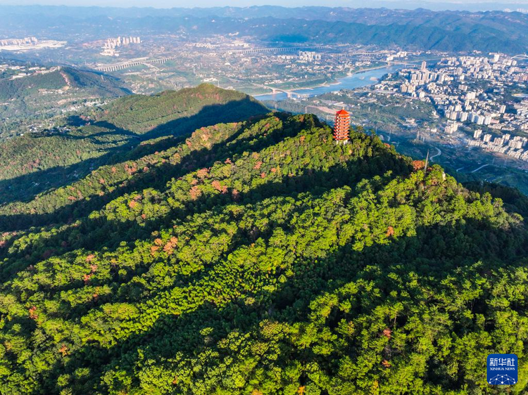 航拍重庆缙云山国家级自然保护区