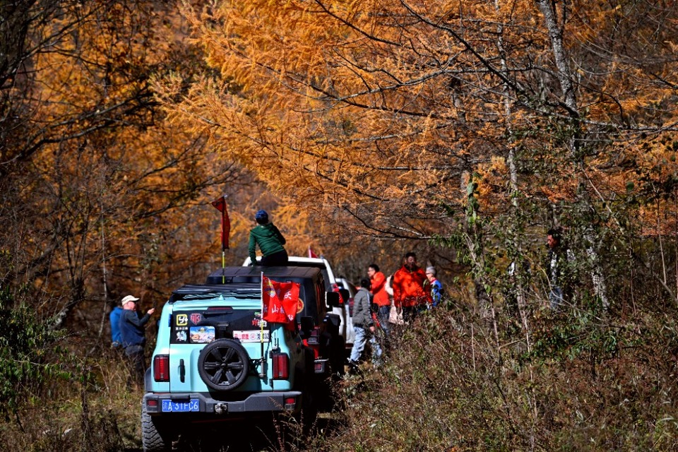 重庆城口：层林尽染 “瞰”万山红遍