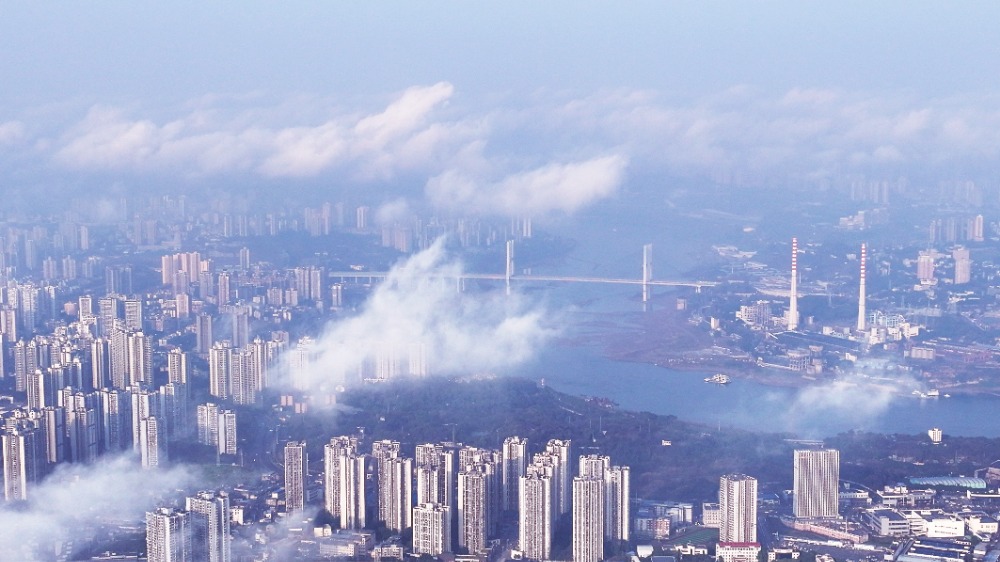 重庆主城春来早 云雾景观美如画