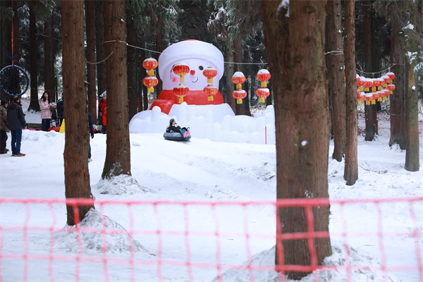 打卡重庆冰天雪地｜武隆仙女山：林海雪原成童话世界