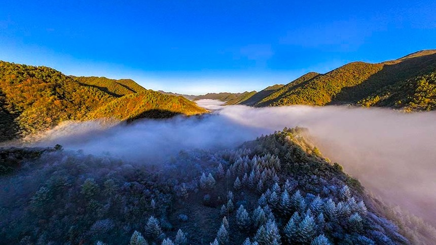 重庆风景壁纸图片