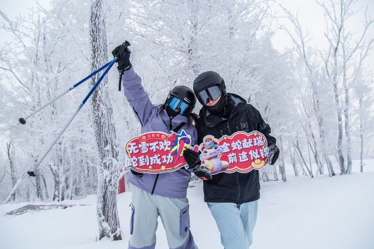 雪落吉林 粉雪之约仍在持续……