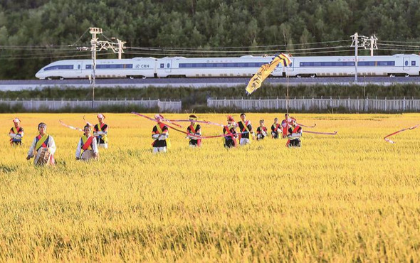 吉林大地丰收季：遍地金黄靓丽秋