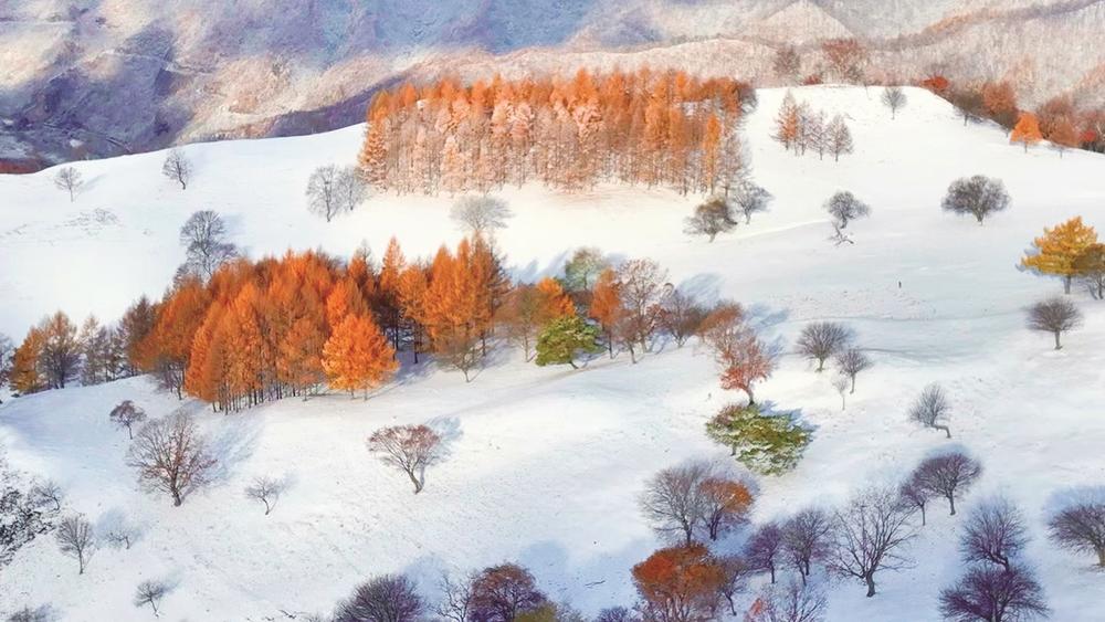 长白县金华乡高山草原初雪