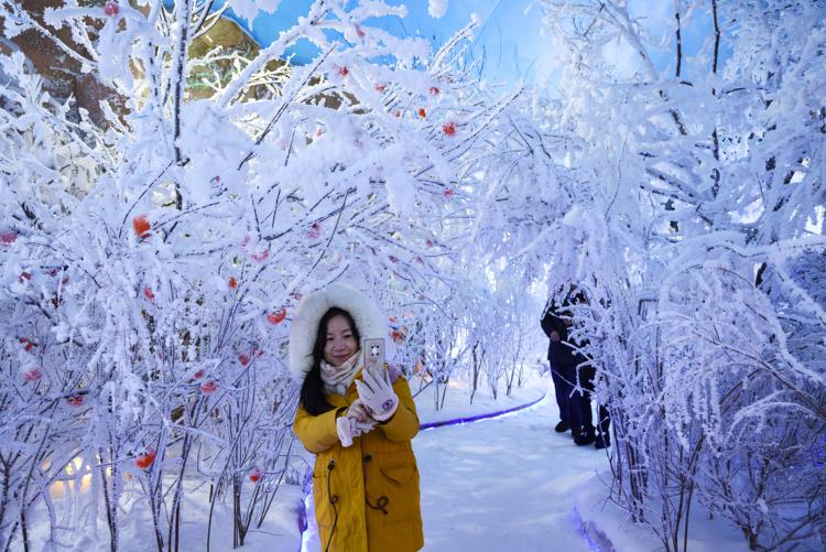 吉林市：百米雾凇实验室实现游客“赏淞”自由