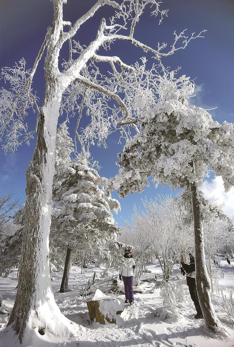 吉林：激情燃冬，热雪沸腾