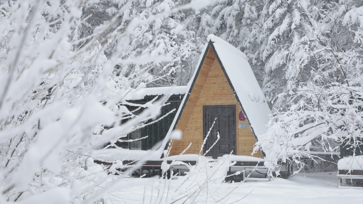 想感受真正的林海雪原，来老里克湖！