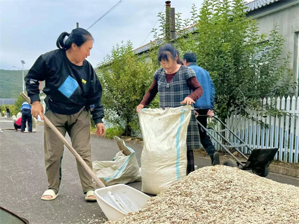 吉林安图：一根藤蔓结出共富果