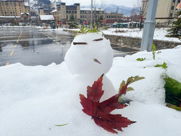 通化：初雪映山城