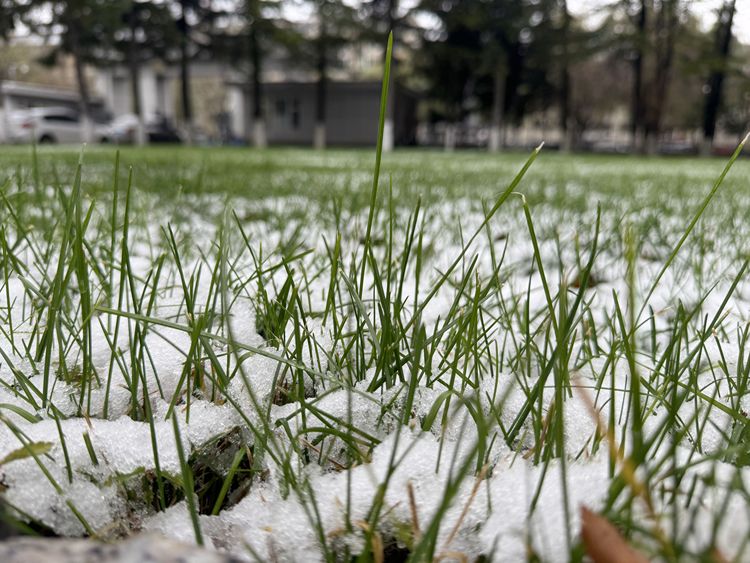 通化：初雪映山城