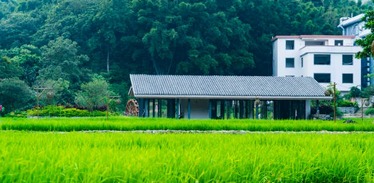 广州黄埔促进城乡要素流动，年轻人带资回村