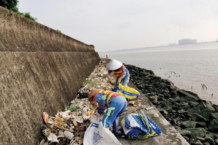 治理海漂垃圾 广州城管以“绣花功夫”守护洁净海岸线