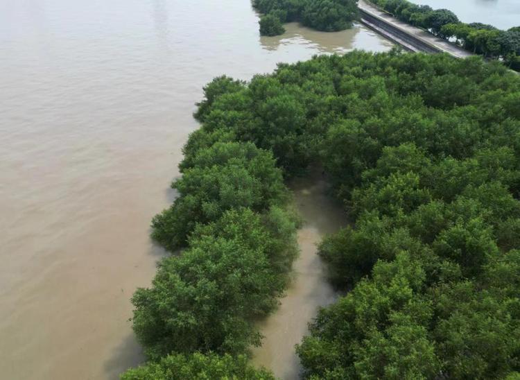 治理海漂垃圾 广州城管以“绣花功夫”守护洁净海岸线