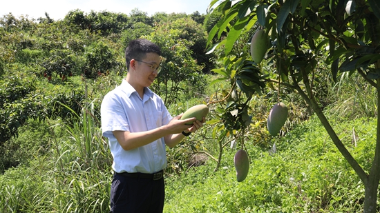 邮储银行望谟县支行：量身定制金融解决方案 助力群众增收致富