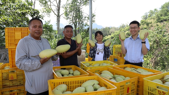 邮储银行望谟县支行：量身定制金融解决方案 助力群众增收致富