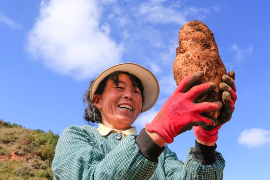 毕节市马铃薯产业高质量发展暨机械化生产培训会在威宁自治县举办