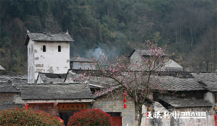 文化中国行｜“活着的明朝博物馆”凭实力圈粉