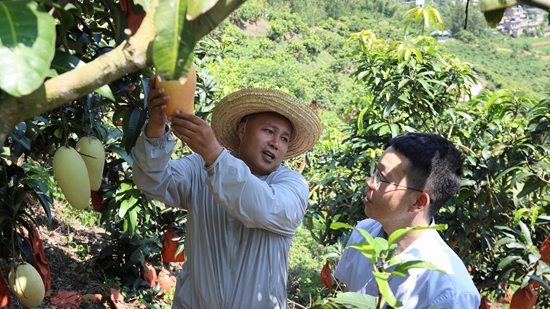 邮储银行望谟县支行：量身定制金融解决方案 助力群众增收致富