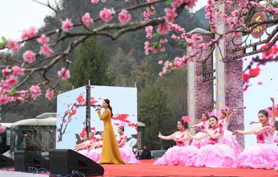 贵州荔波第二十届梅花节拉开序幕 万亩野生梅迎来赏花期