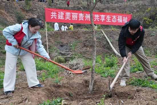 贵州镇远开展2025年义务植树活动