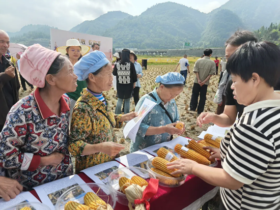 贵州都匀：“丰收节”话丰收 共绘乡村振兴新画卷