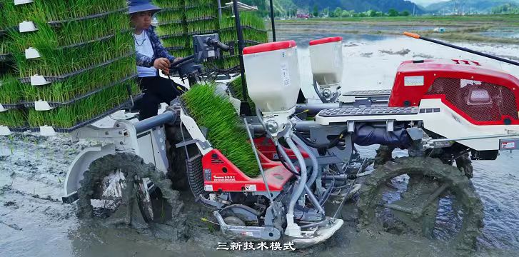 从黔地田野出发，看贵州如何奏响乡村振兴“最强音”