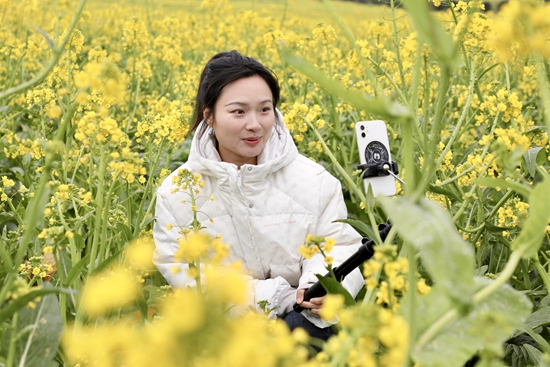 贵州绥阳20余万亩油菜花竞相开放 春日盛景醉游人_fororder_微信图片_20250220172456