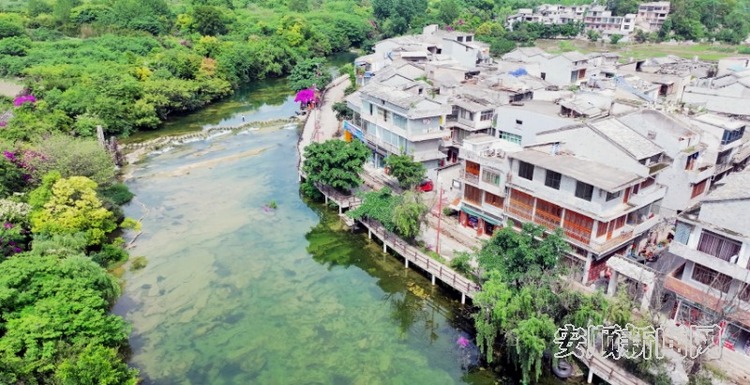 黄果树旅游区石头寨：党建引领绘就产业发展新图景