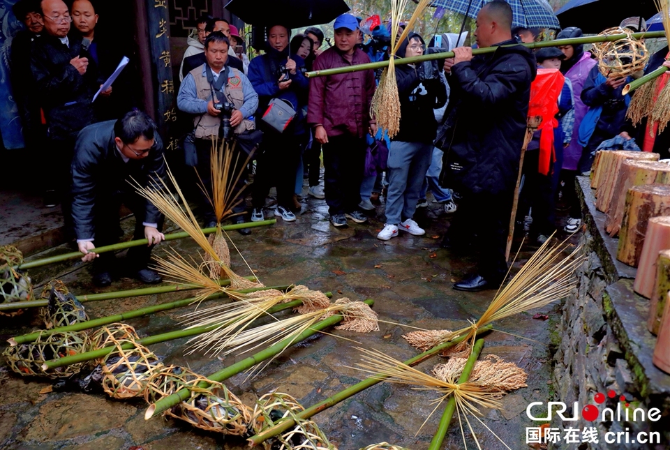 贵州丹寨：苗族同胞身着盛装 载歌载舞欢庆“祭尤节”