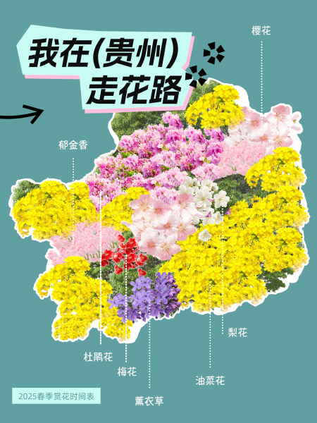 贵州花海打卡指南