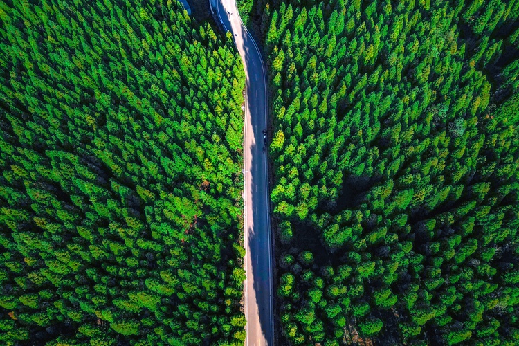 走进贵阳靛山村 初冬探秘这片“暮光森林”