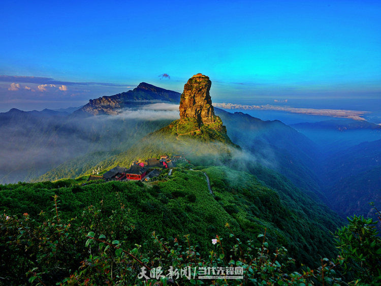 十一载“春天之约” ！贵州“生态绿”绽放“金银花”