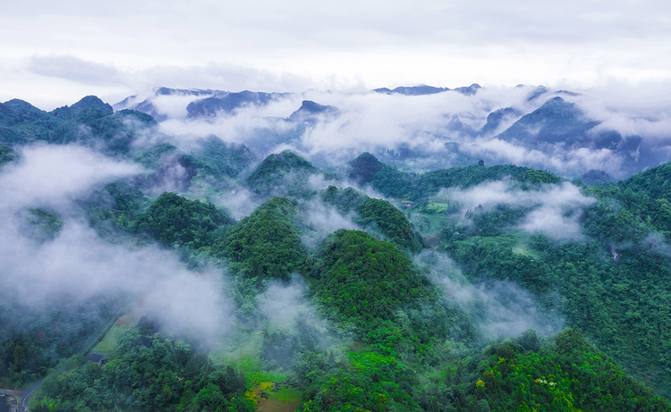 万物共生处 大美不言时｜2025世界野生动植物日贵州影像